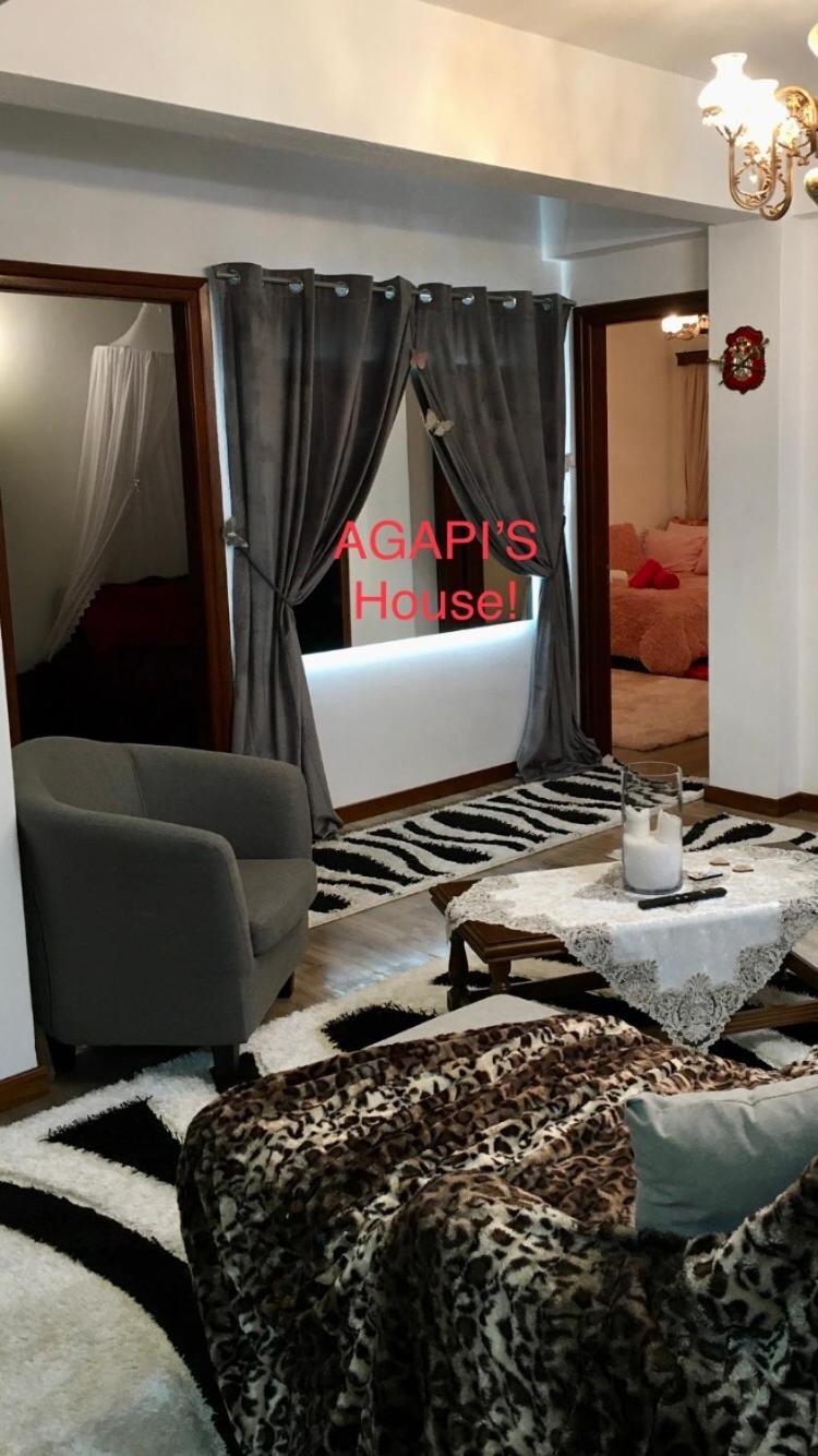 Apartmán Agapi'S House Metsovo Exteriér fotografie