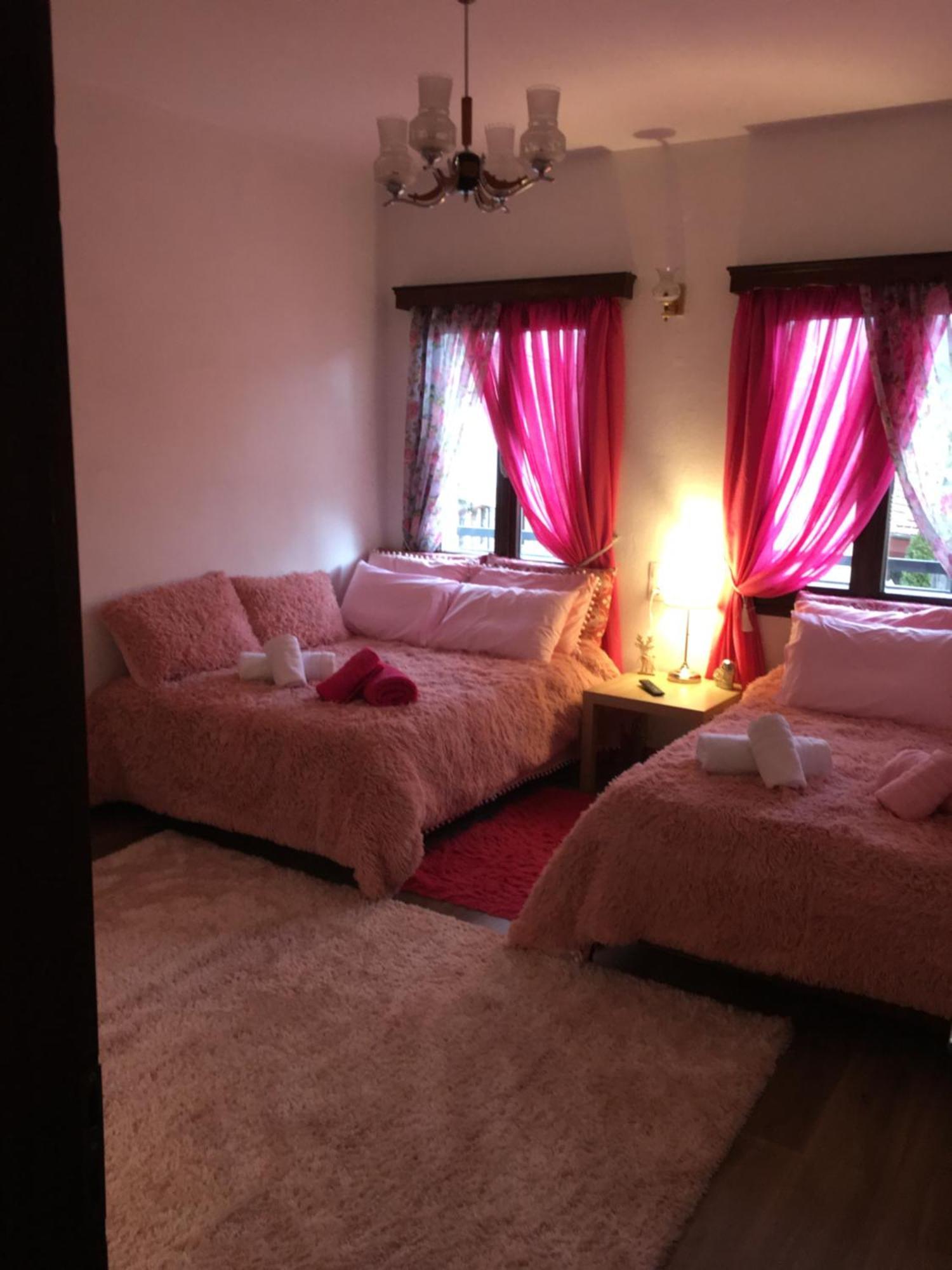 Apartmán Agapi'S House Metsovo Exteriér fotografie