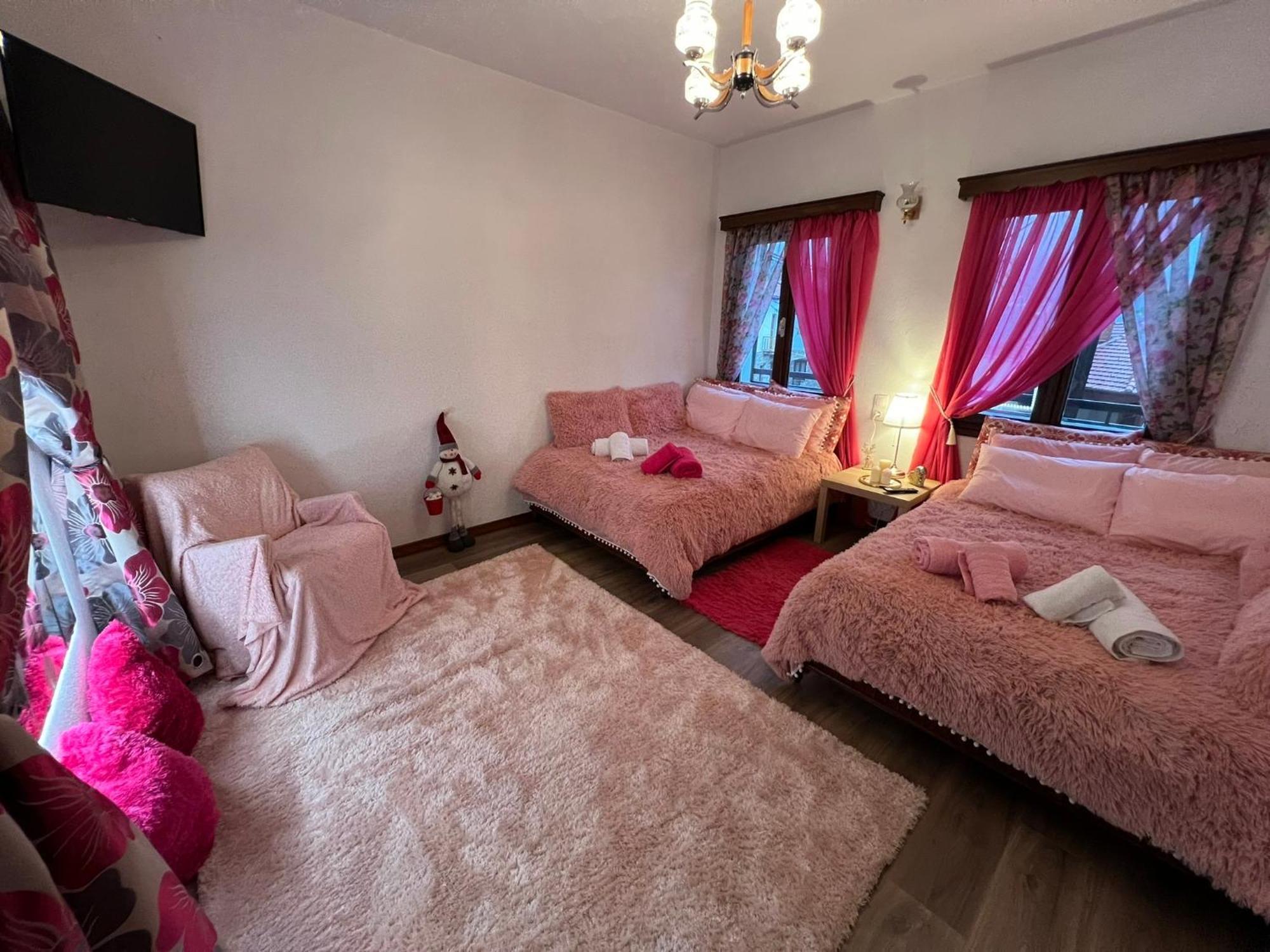 Apartmán Agapi'S House Metsovo Exteriér fotografie